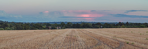 Panoramic view of Wheat Field at sunset