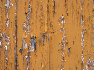 Old wooden door with orange paint