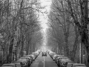 London Taxi on Road