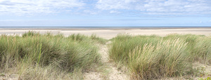 Grassy Dunes and Coastal Peace