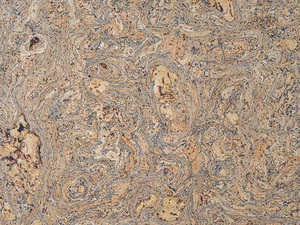 Full frame of Cork mat background
