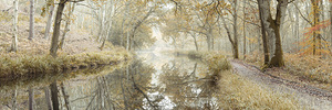 Autumn Canal