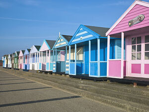 Vibrant Seaside Vibes