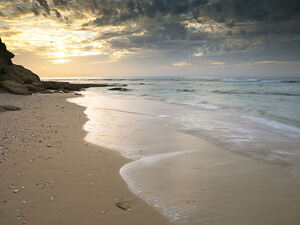 Palmachim beach