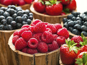 Berry Bonanza