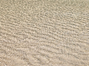 Shallow Waters