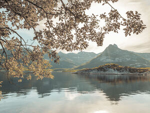 Norwegian Fjord