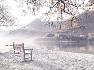 Bench at still lake
