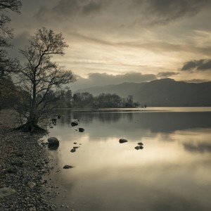 Still lake at dusk