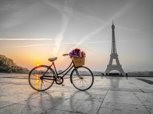 Love in Paris