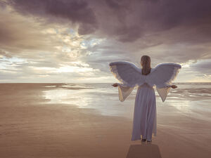Sea Angel