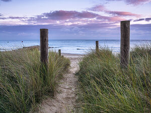 Tranquil beach