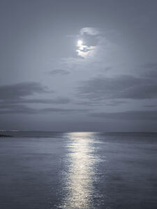 Tranquil Seascape