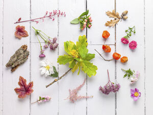 Botanical Tapestry