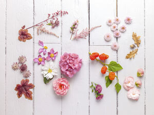 Eclectic Plants