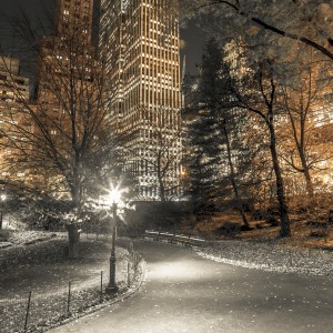 Evening view of Central Park in New York City