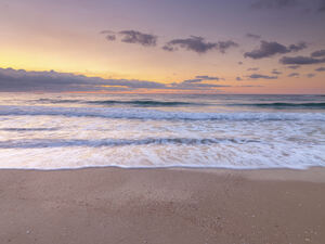 Peace at the Beach