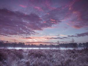 Meadow under cloudscape