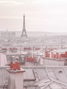 Paris Rooftops