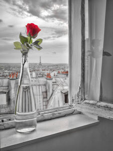 Paris Love