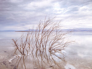 Dead Sea