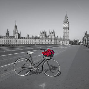Love in Westminister