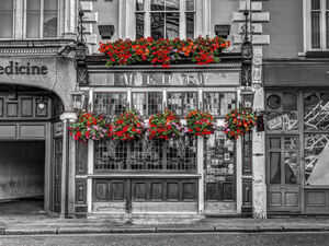 The Welsh Harp pub