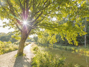 Canal on a summers day