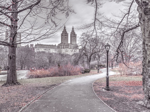 Walk through the Central Park
