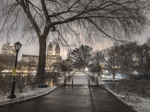 Evening Gaze of Central Park