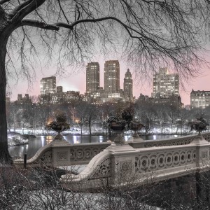 Central park with Manhattan skyline, New York