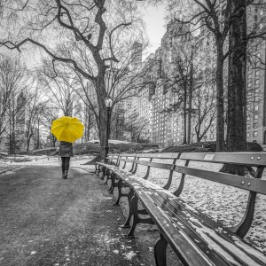 Tourist on pathway with Yellow umbrella at Central park, New York