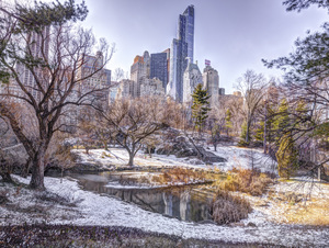 Snowy Central Park