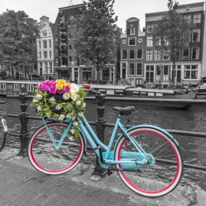 Bicycle with bunch of roses on bridge, Amsterdam