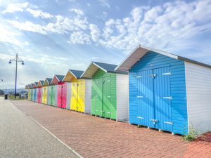 Colorful Coastal Delight