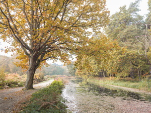Basingstoke Canal