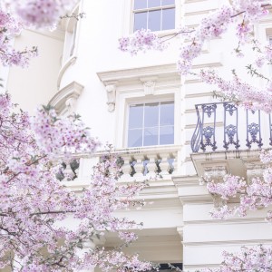 Spring in London