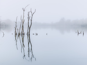 Still Lake