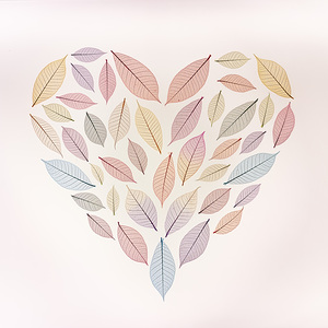 Skeleton leaves heart