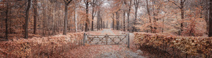 Autumns Entrance