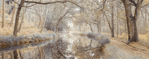 Tapestry of Autumn