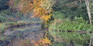 Autumnal Palette