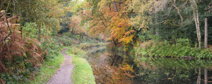 Pathway by Canal