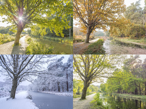 Four Seasons