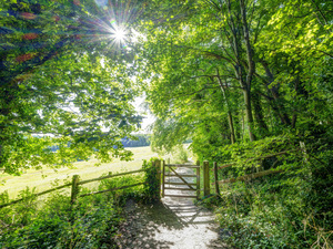 Forest Gate
