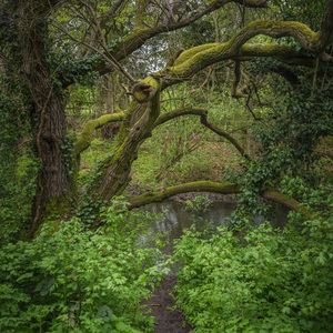 A World in Green