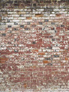 Rustic brick wall
