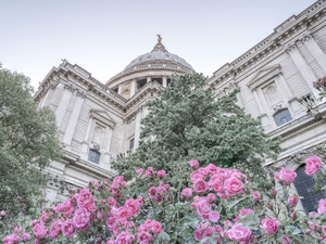 St Pauls Cathedral