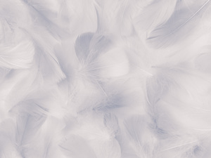 Gentle Plumes - Cream