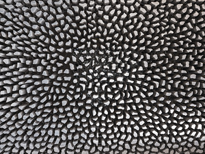 Textured Wooden Surface